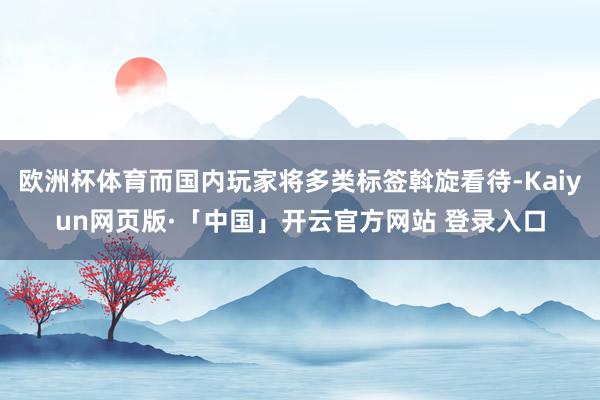 欧洲杯体育而国内玩家将多类标签斡旋看待-Kaiyun网页版·「中国」开云官方网站 登录入口