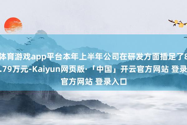 体育游戏app平台本年上半年公司在研发方面插足了8191.79万元-Kaiyun网页版·「中国」开云官方网站 登录入口
