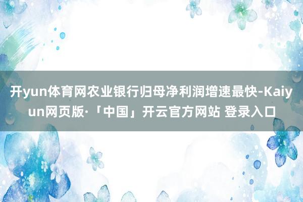 开yun体育网农业银行归母净利润增速最快-Kaiyun网页版·「中国」开云官方网站 登录入口